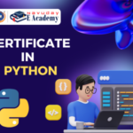 Certificate in Python